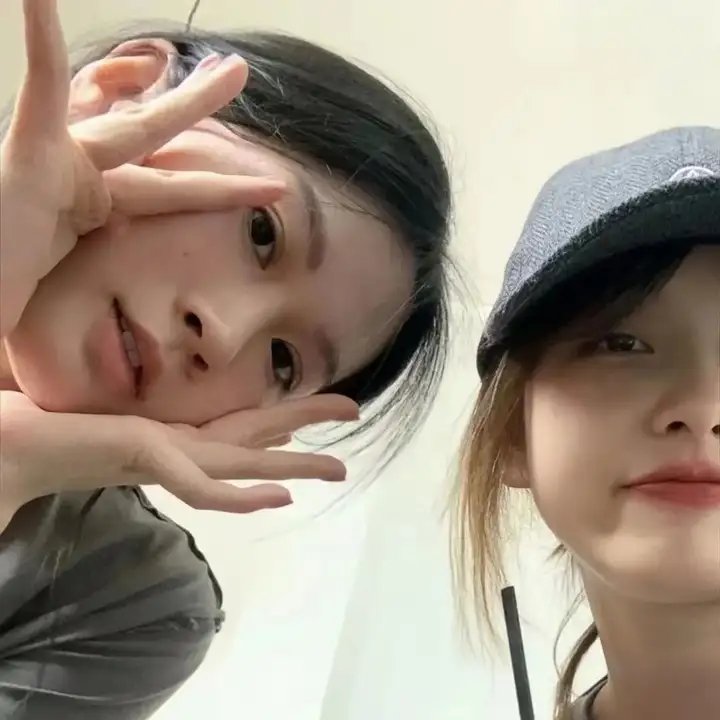 几度菊花香